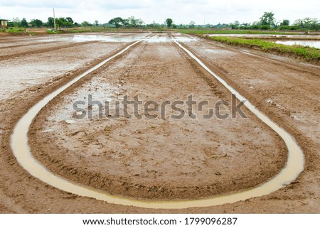 
Rice fields before planting during the rainy season,
Soil preparation before planting rice