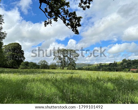 Fields with long grass, trees and a house in the distance near, Kirby Malham, Skipton, UK