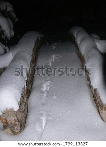 A snow covered bridge with animal tracks leading into the darkness.