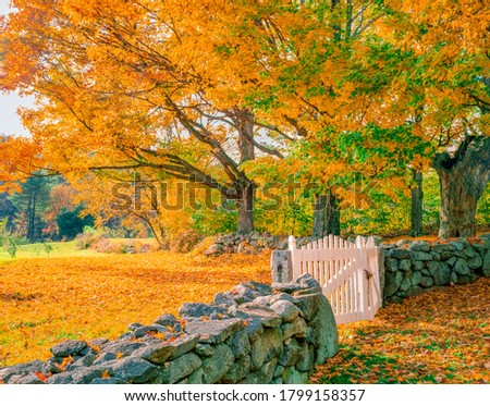A white gate leads to a meadow filled with fall color in New Hampshire. Sugar Maples are back lit and glow. Royalty-Free Stock Photo #1799158357