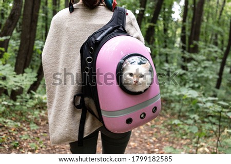 White cute cat looking outside from cat backpack with transparent window. Cat bag on the girls shoulders. Domestic cats outside and travelling with pets concept Royalty-Free Stock Photo #1799182585