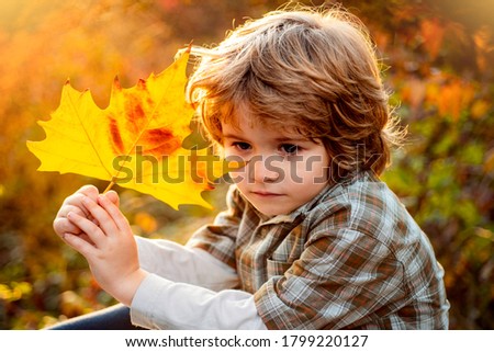 Happy child dreaming in autumn park. Cute boy with maple leaves outdoors. Toddler wears Autumn. Autumn child dream. Fall leaves children concept