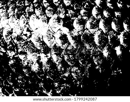 Fish scales texture. Scales background.Grunge texture. Grunge black and white vector overlay. Grungy grainy surface.