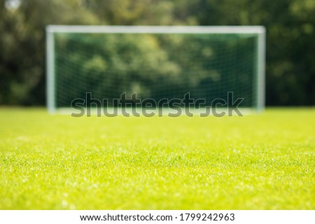 GREEN SOCCER FIELD, EMPTY FOOTBALL STADIUM PLAYGROUND
