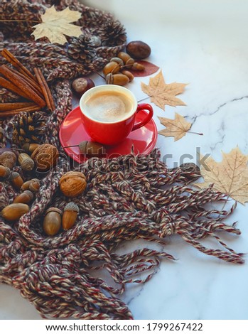 coffee Cup, scarf, nuts, autumn leaves on marble background. atmosphere cozy autumn composition. fall season, thanksgiving day concept.