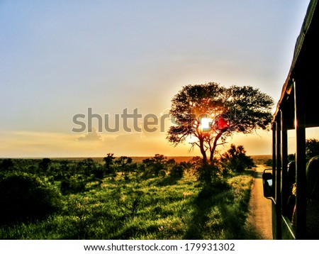 South African Safari sunset on game drive Royalty-Free Stock Photo #179931302