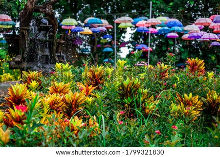 Blurred abstract background of colorful umbrellas used to decorate the interior of parks or restaurants, cafes, to grab the attention of customers and take pictures while visiting.