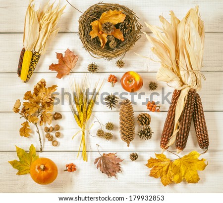 Still Life of a Variety of Fall Nature Items found Outdoors Arranged on Rustic White Boards with warm toned antique treatment