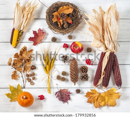 Still Life of a Variety of Fall Nature Items found Outdoors Arranged on Rustic White Boards 