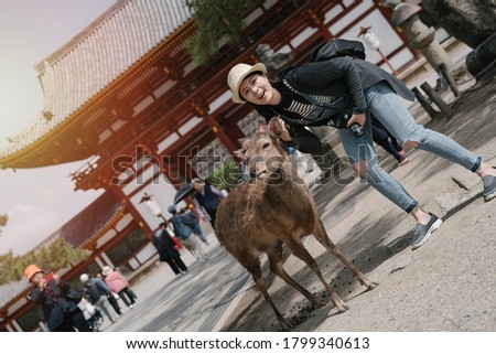 dutch angle shot female backpacker is taking picture with cute deer background Todaiji temple. backlit photography asian woman bending over herbivorous animal is smiling at camera.