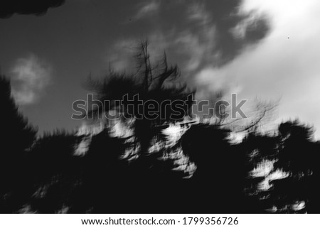 background and texture,abstract and pattern,black and white photography