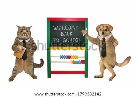 A beige cat and a dog are standing near a blackboard with text welcome to school. White background. Isolated.