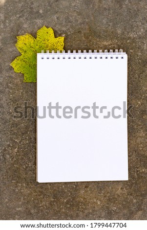 Notepad lies on a stone and bright yellow green carved leaves background with copy space
