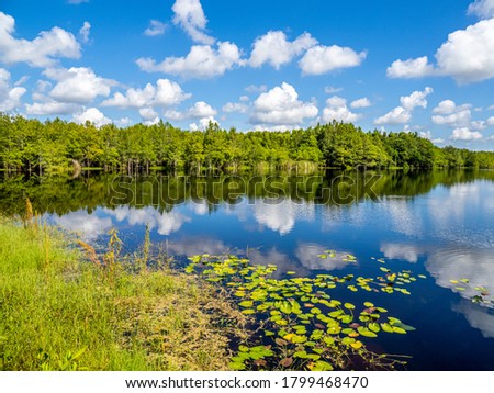 Blue sky with white clouds reflecting in Gator Lake on a summer day in Six Mile Cypress Slough Preserve in Fort Myers Florida in the United States Royalty-Free Stock Photo #1799468470