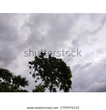 The beautiful picture of nature in the cloudy weather