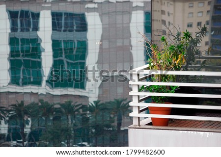 Building with plant on the balcony