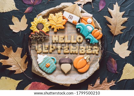 Hello September. Multicolored autumn cookies on a black background. Autumn concept