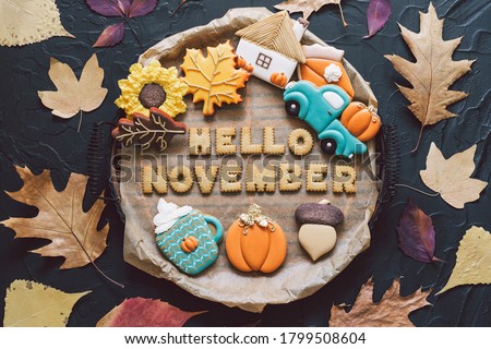 Hello November. Multicolored autumn cookies on a black background. Autumn concept