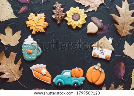 Multicolored autumn cookies on a black background. Autumn concept