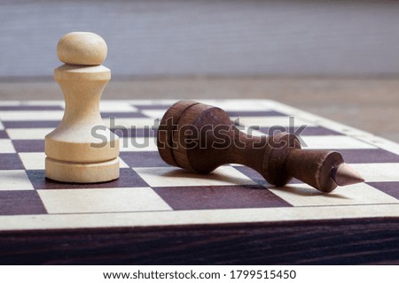 The end of the chess game, the white pawn defeated the dark king. Business concept copy space, selective focus