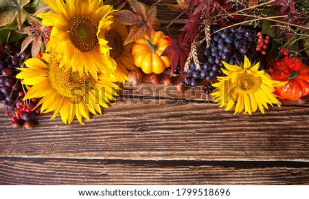 Greeting autumn card with copy space. Composition with pumpkin, autumn leaves, grape, sunflower, candle and berries on the wooden background. Cozy autumn mood concept