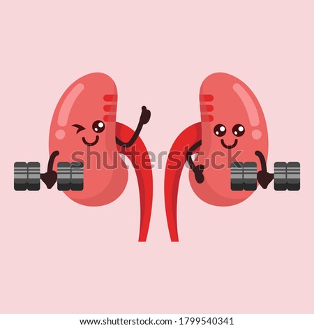Cute a couple of kidney mascot design illustration