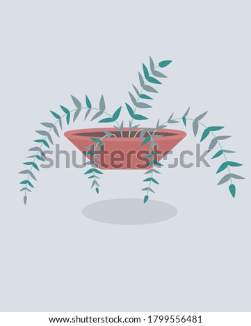 Houseplant  in pot.  Indoor plant and flower in pot. Landscaping at home. Decor for the apartment and garden. Houseplant vector illustration. Home flowers.