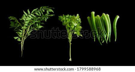 This picture is include curry leaf, coriander leaf and ladyfinger