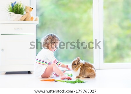 Adorable toddler girl with beautiful curly hair wearing a white dress playing with a real bunny in a sunny living room with a big garden view window sitting on the floor