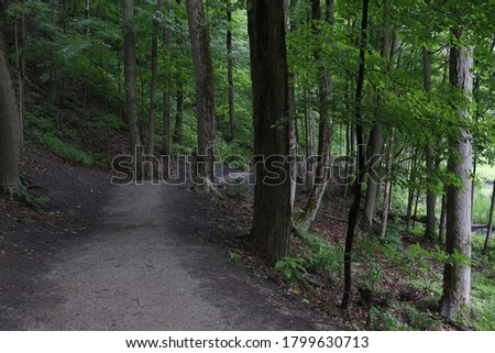 Nature trail at Rocky River Reservation, North Olmsted, Ohio Royalty-Free Stock Photo #1799630713