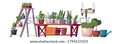 Greenhouse plants, orangery or floristic store interior stuff, garden rack with potted flowers, wooden table, boxes and hanging shelf, watering can and pot with green tree. Cartoon vector illustration