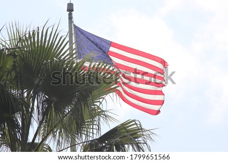 Florida Palm Trees and the American Flag