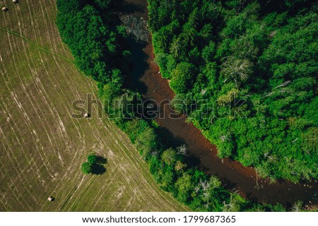 Aerial shot of forest river surrounded by greens and trees