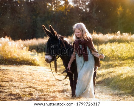 Girl with a donkey walking in the field