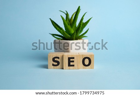 Seo word collected of wooden elements with the letters