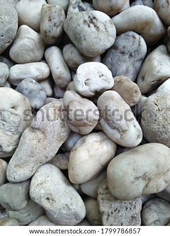 Coral stone or gravel is one type of natural stone that has a variety of shapes, colors and sizes. The charm of this stone lies in its colorful form and plain, non-rough surface texture.
