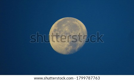 nice and clear  picture of the moon