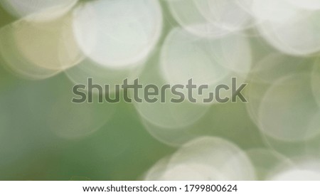 abstract blur green colour for background.blurred and defocused effect spring concept for design