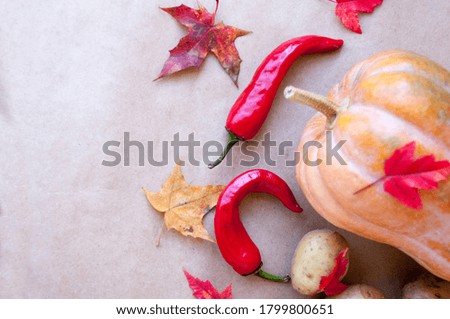 Autumn still life with a crop of vegetables : pumpkin, potatoes and red pepper with maple leaves