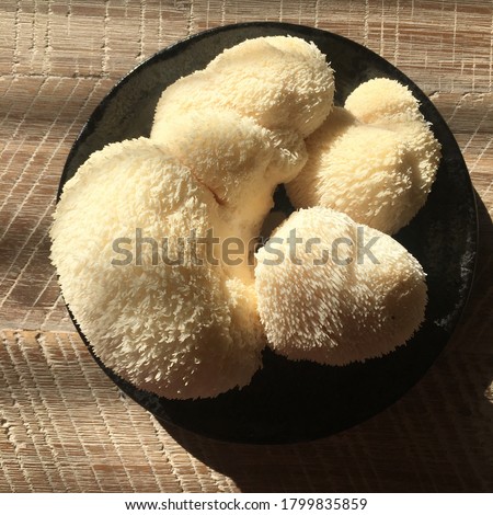 Fresh lion’s mane mushrooms with nature light Royalty-Free Stock Photo #1799835859