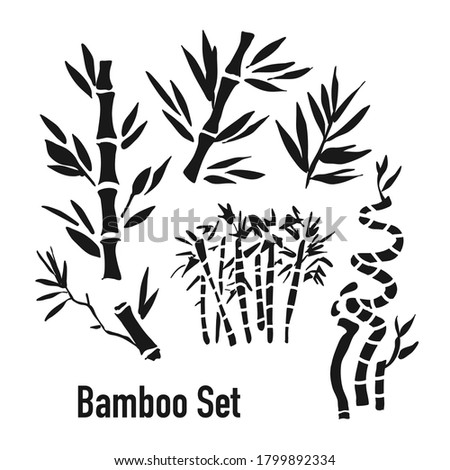 Bamboo set. Vector illustration of bamboo leaves, branches and forest. Chinese plant, tree silhouette. 
