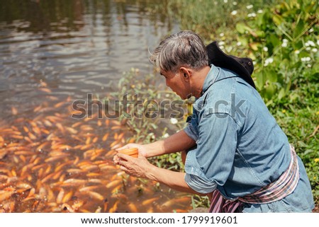 Asian elderly senior farmer feeding fish with pellet food in fishing farm.