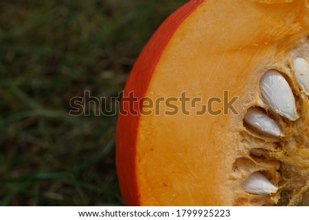 cut pumpkin on the grass