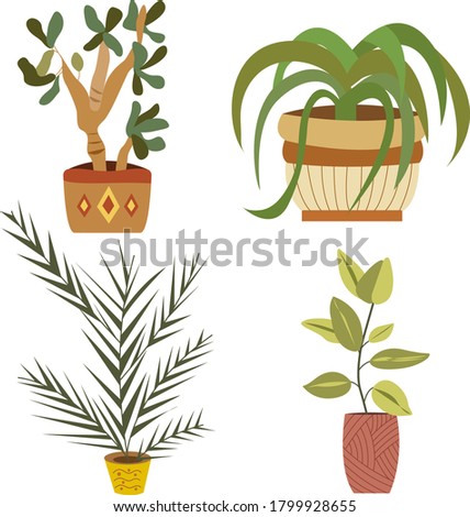 Vector Set of indoor plants in pots
