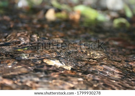 macro photo. Clear water in a mountain river. Multi-colored stones are visible