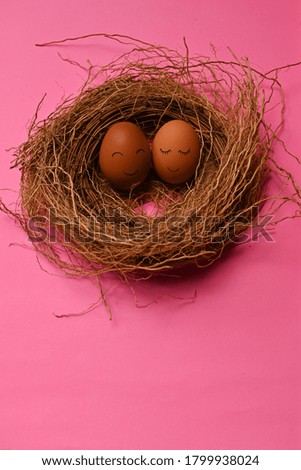 The eggs were put in nest isolated on colorful background. 