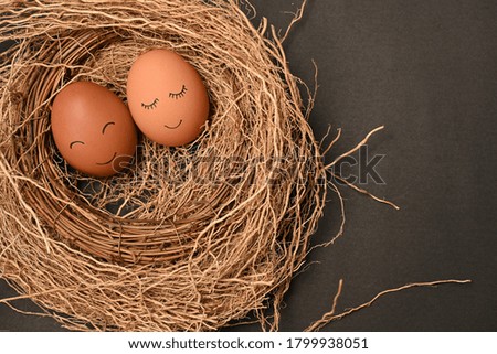 The eggs were put in nest isolated on colorful background. 