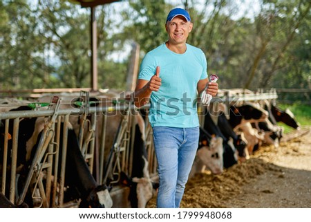 Happy man farmer is working on farm with dairy cows