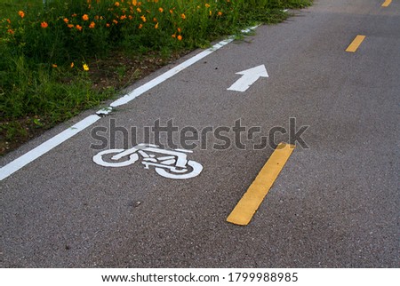 Bicycle Lanes in Park and yellow flower