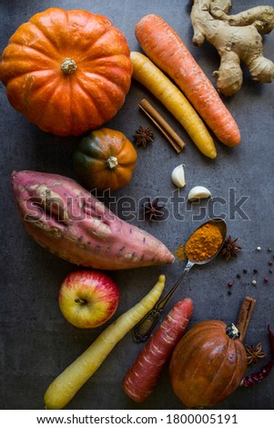 Fresh vegetables on grey table. Top view photo of butternut, gem squash, pumpkin, golden nugget, carrot, cherry tomatoes,  apples, sweet potato, red onion. Autumn harvest. 
